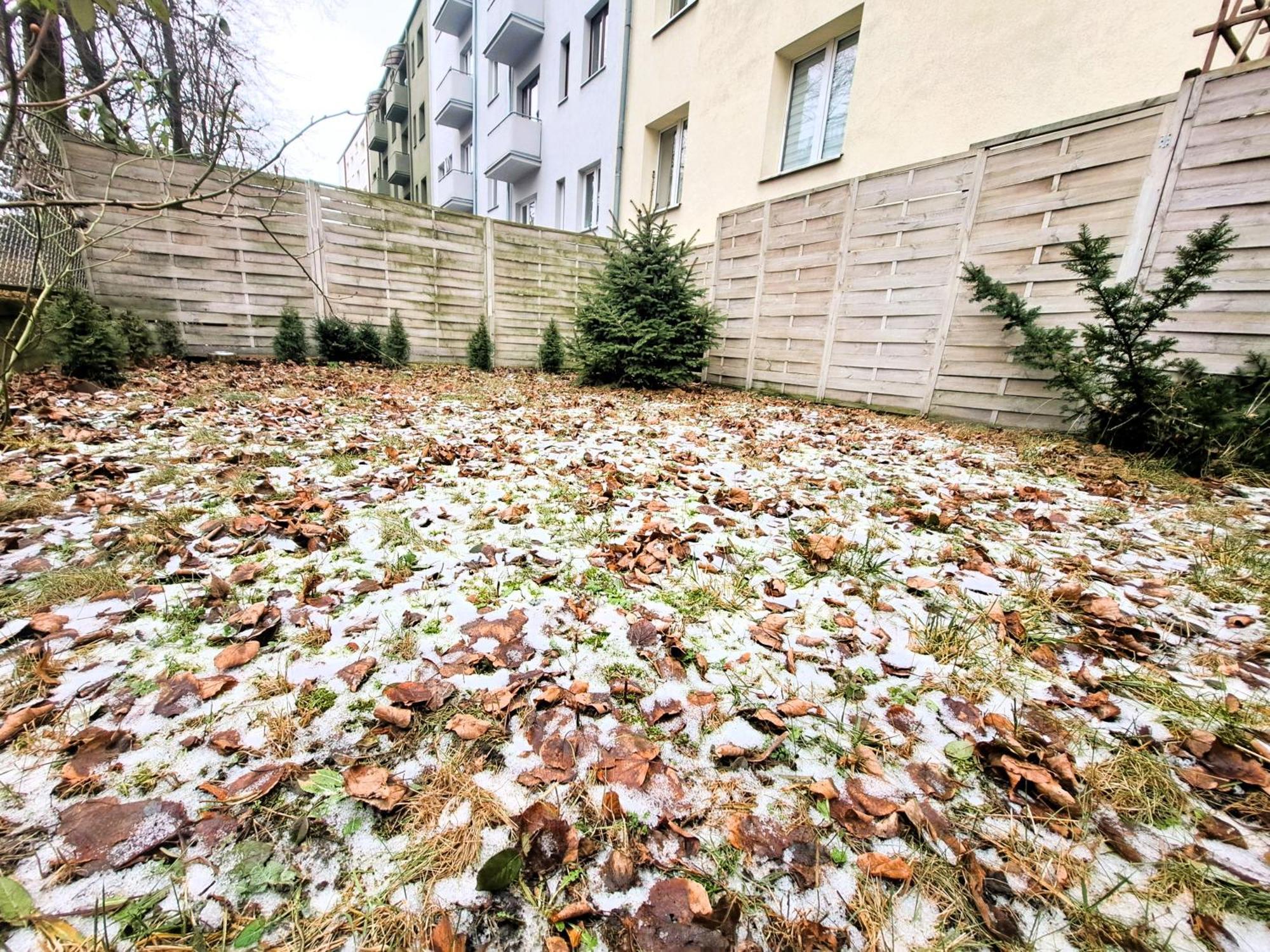 Apartament Z Ogrodem W Sercu Torunia 외부 사진